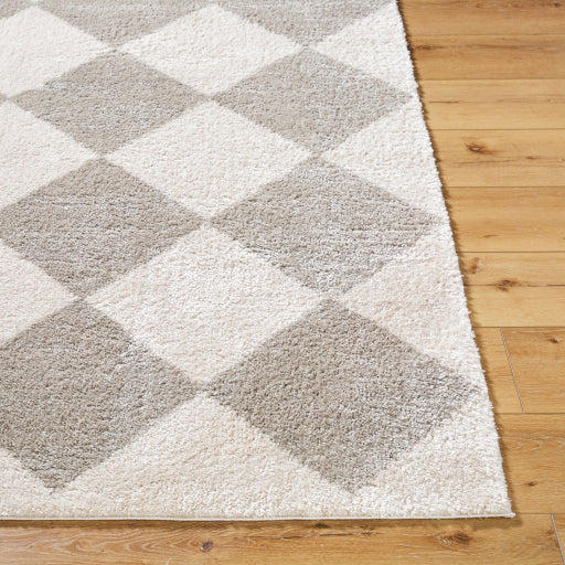 Surya Fossay Shag FSG-2327 Light Beige Modern Machinemade Rug