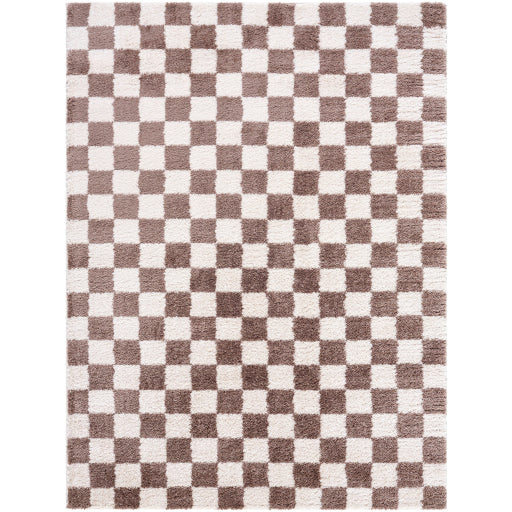 Surya Fossay Shag FSG-2328 Light Beige Modern Machinemade Rug