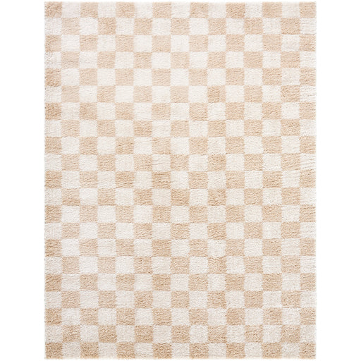 Surya Fossay Shag FSG-2329 Light Beige Modern Machinemade Rug