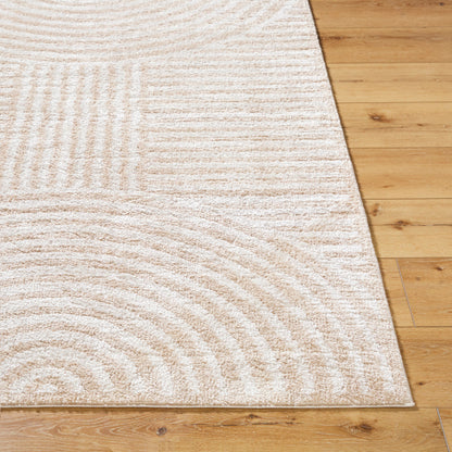 Surya Fossay Shag FSG-2332 Light Beige Modern Machinemade Rug