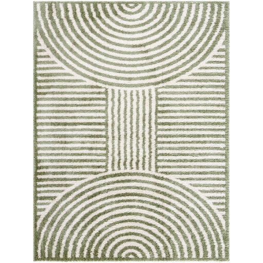 Surya Fossay Shag FSG-2333 Light Beige Modern Machinemade Rug