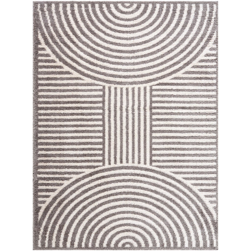 Surya Fossay Shag FSG-2334 Light Beige Modern Machinemade Rug