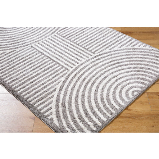 Surya Fossay Shag FSG-2334 Light Beige Modern Machinemade Rug