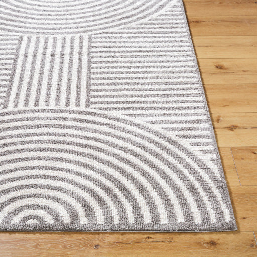 Surya Fossay Shag FSG-2334 Light Beige Modern Machinemade Rug