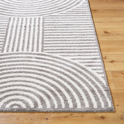 Surya Fossay Shag FSG-2334 Light Beige Modern Machinemade Rug