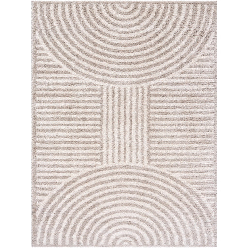 Surya Fossay Shag FSG-2335 Light Beige Modern Machinemade Rug