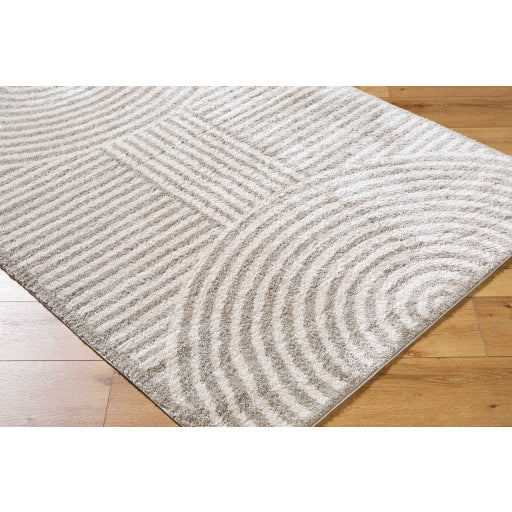 Surya Fossay Shag FSG-2335 Light Beige Modern Machinemade Rug