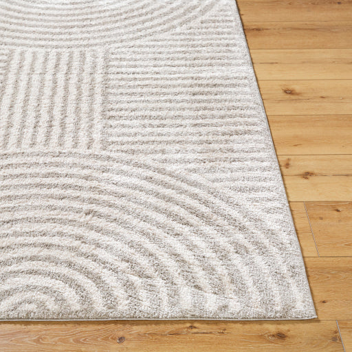 Surya Fossay Shag FSG-2335 Light Beige Modern Machinemade Rug