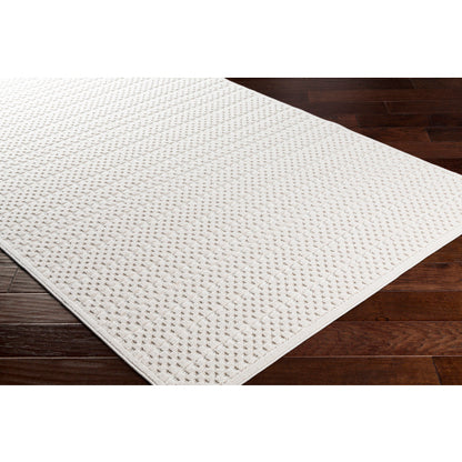Surya Greenwich GWC-2301 Beige Modern  Rug
