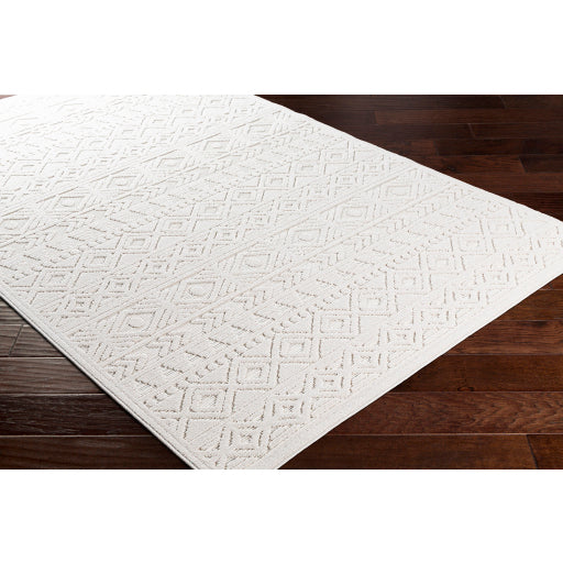 Surya Greenwich GWC-2305 Beige Global  Rug