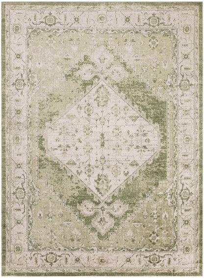 Nourison Home Astra Machine Washable ASW11 Ivory Green Traditional Power-loomed Rug