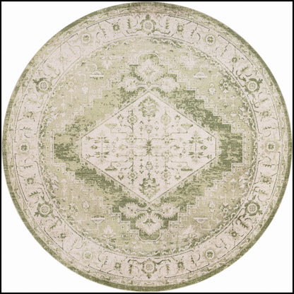 Nourison Home Astra Machine Washable ASW11 Ivory Green Traditional Power-loomed Rug
