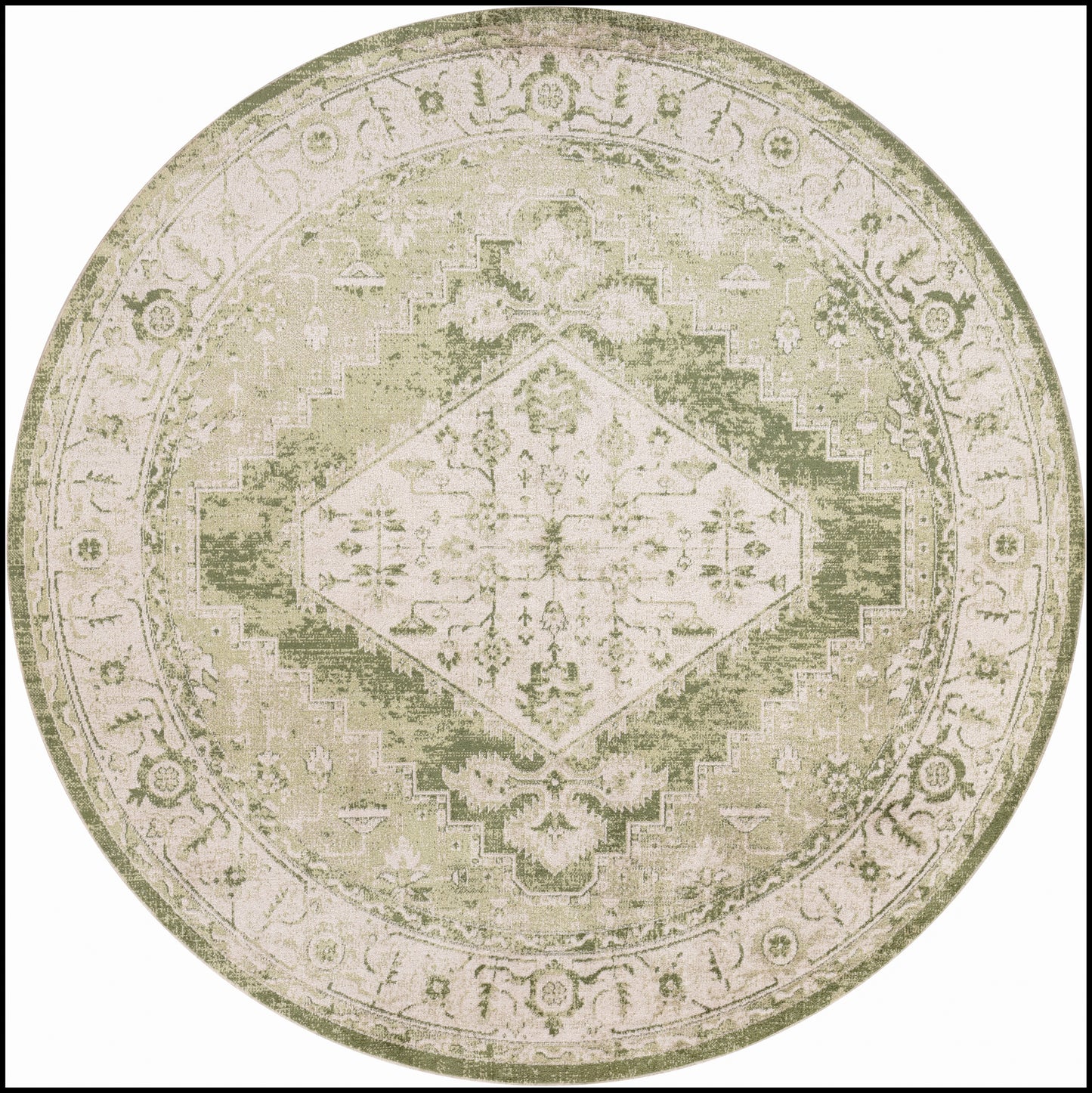 Nourison Home Astra Machine Washable ASW11 Ivory Green Traditional Power-loomed Rug