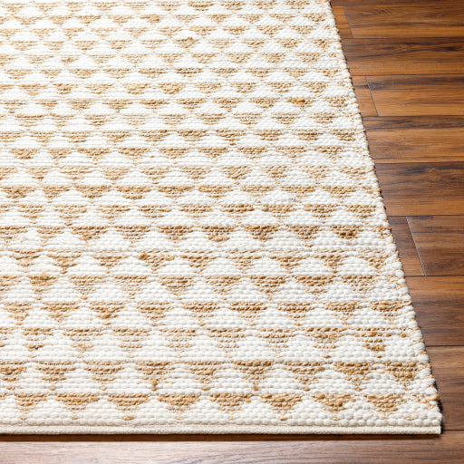 Surya Jean JEA-2309 Ivory Modern  Rug
