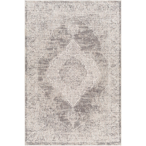Surya Juliet JLT-2305 Light Gray Traditional  Rug