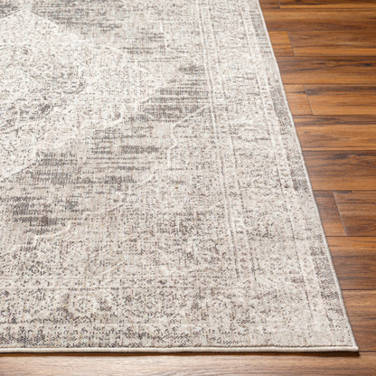 Surya Juliet JLT-2305 Light Gray Traditional  Rug