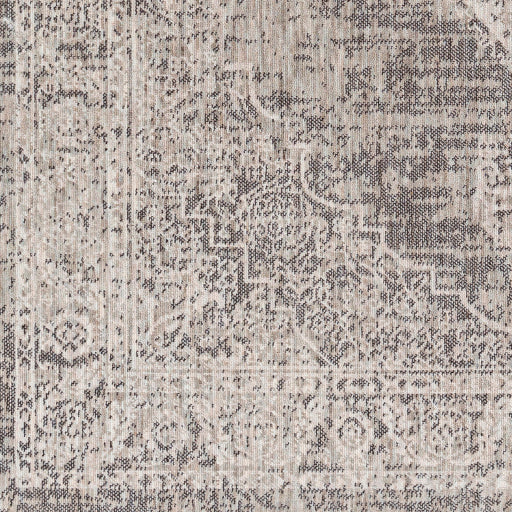 Surya Juliet JLT-2305 Light Gray Traditional  Rug