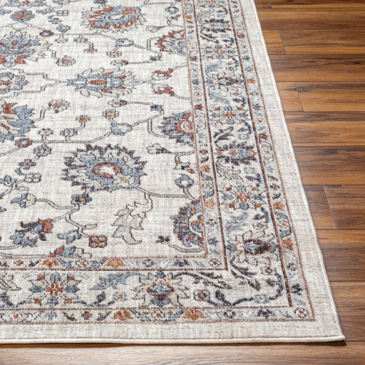 Surya Juliet JLT-2306 Light Gray Traditional  Rug