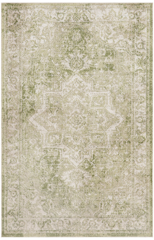 Nourison Home Astra Machine Washable ASW12 Ivory Green Traditional Machinemade Rug