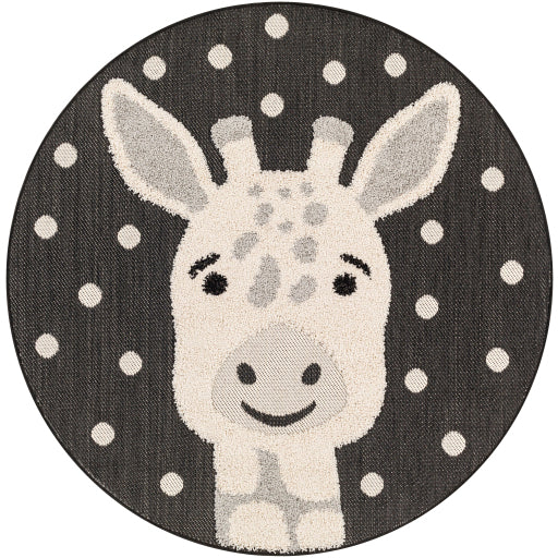 Surya Kayra KYR-2302 Black Modern  Rug