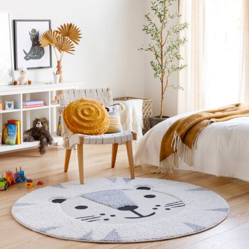 Surya Kayra KYR-2307 Ivory Modern  Rug