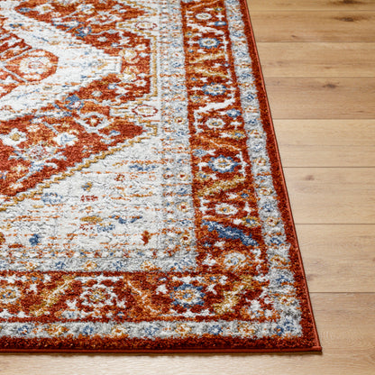 Surya Liebe LBE-2302 Rust Traditional  Rug