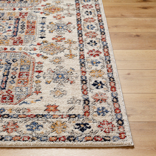 Surya Liebe LBE-2305 Burnt Orange Traditional  Rug