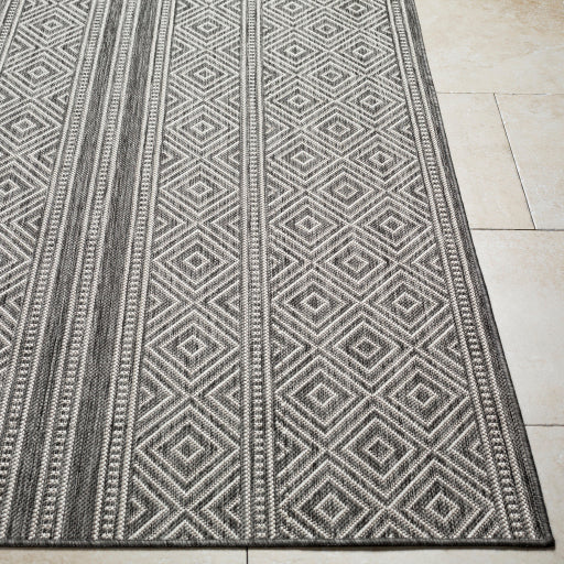 Surya Long Beach LBH-2302 Charcoal Global  Rug