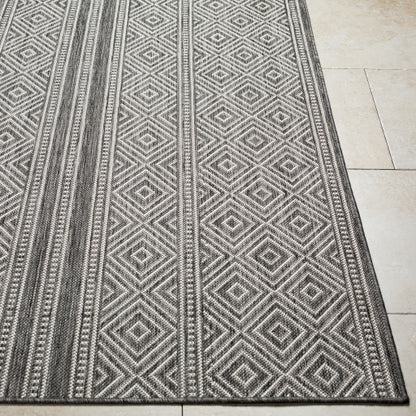 Surya Long Beach LBH-2302 Charcoal Global  Rug