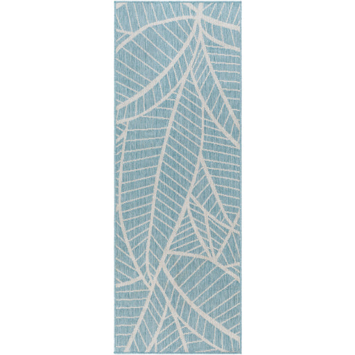 Surya Long Beach LBH-2303 Aqua Coastal  Rug