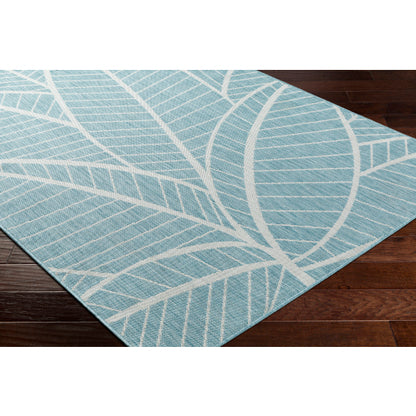 Surya Long Beach LBH-2303 Aqua Coastal  Rug