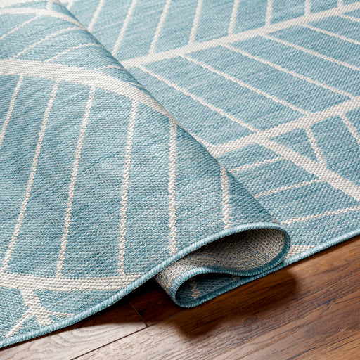 Surya Long Beach LBH-2303 Aqua Coastal  Rug