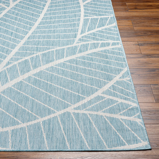 Surya Long Beach LBH-2303 Aqua Coastal  Rug