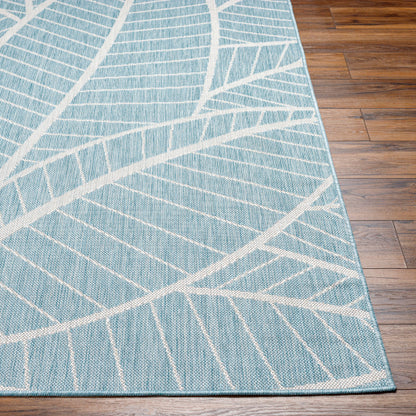 Surya Long Beach LBH-2303 Aqua Coastal  Rug