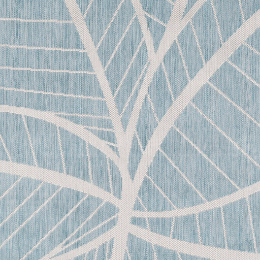 Surya Long Beach LBH-2303 Aqua Coastal  Rug