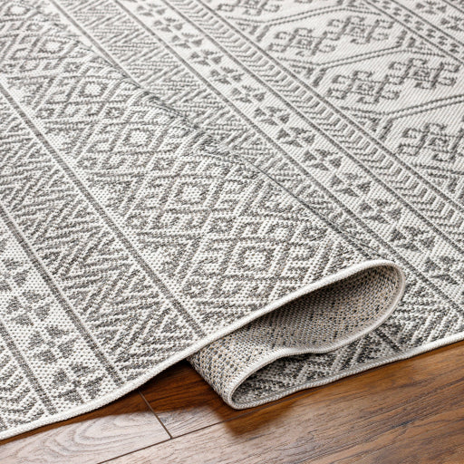 Surya Long Beach LBH-2305 Charcoal Global  Rug