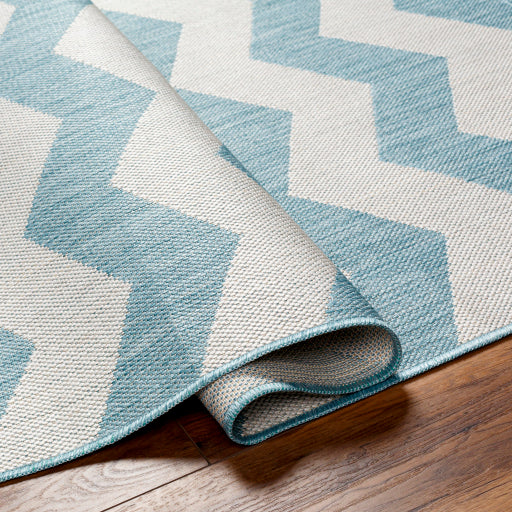 Surya Long Beach LBH-2311 Aqua Global  Rug