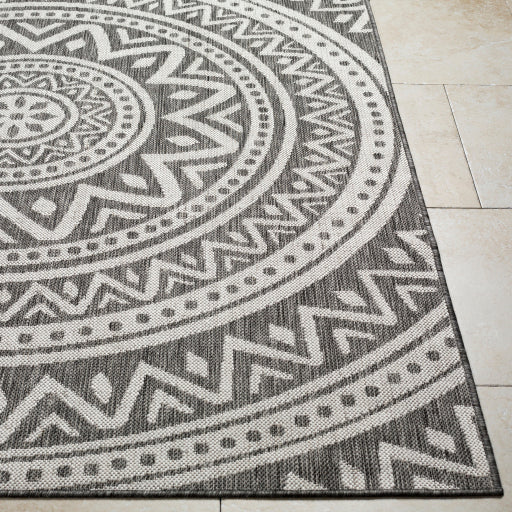 Surya Long Beach LBH-2317 Charcoal Global  Rug