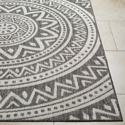 Surya Long Beach LBH-2317 Charcoal Global  Rug