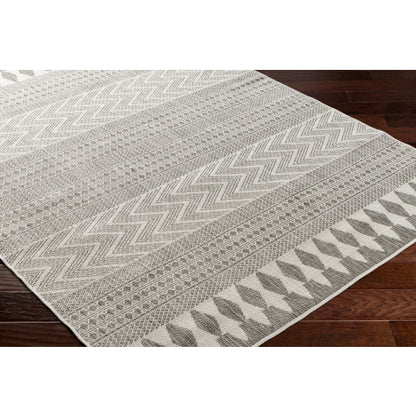 Surya Long Beach LBH-2322 Charcoal Global  Rug