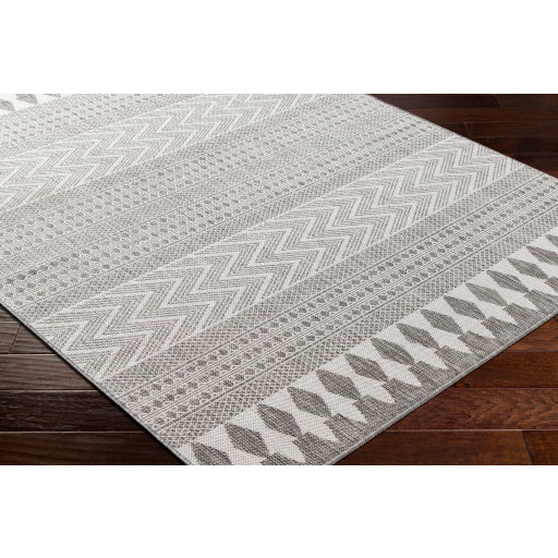 Surya Long Beach LBH-2329 Charcoal Global  Rug