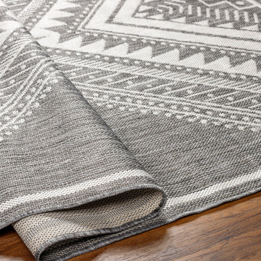 Surya Long Beach LBH-2337 Charcoal Global  Rug