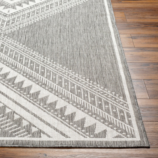 Surya Long Beach LBH-2337 Charcoal Global  Rug