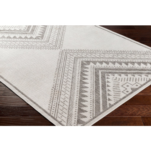 Surya Long Beach LBH-2338 Charcoal Global  Rug