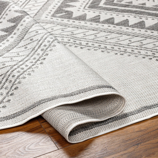 Surya Long Beach LBH-2338 Charcoal Global  Rug