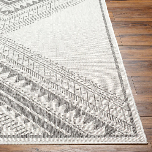 Surya Long Beach LBH-2338 Charcoal Global  Rug