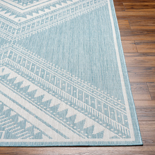 Surya Long Beach LBH-2339 Aqua Global  Rug