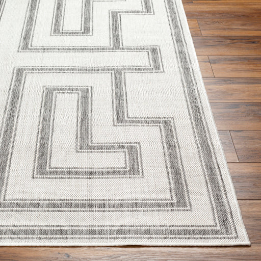 Surya Long Beach LBH-2343 Charcoal Global  Rug