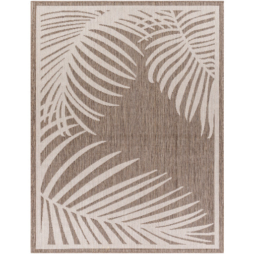 Surya Long Beach LBH-2349 Dark Brown Coastal  Rug