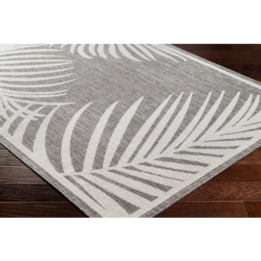 Surya Long Beach LBH-2349 Dark Brown Coastal  Rug